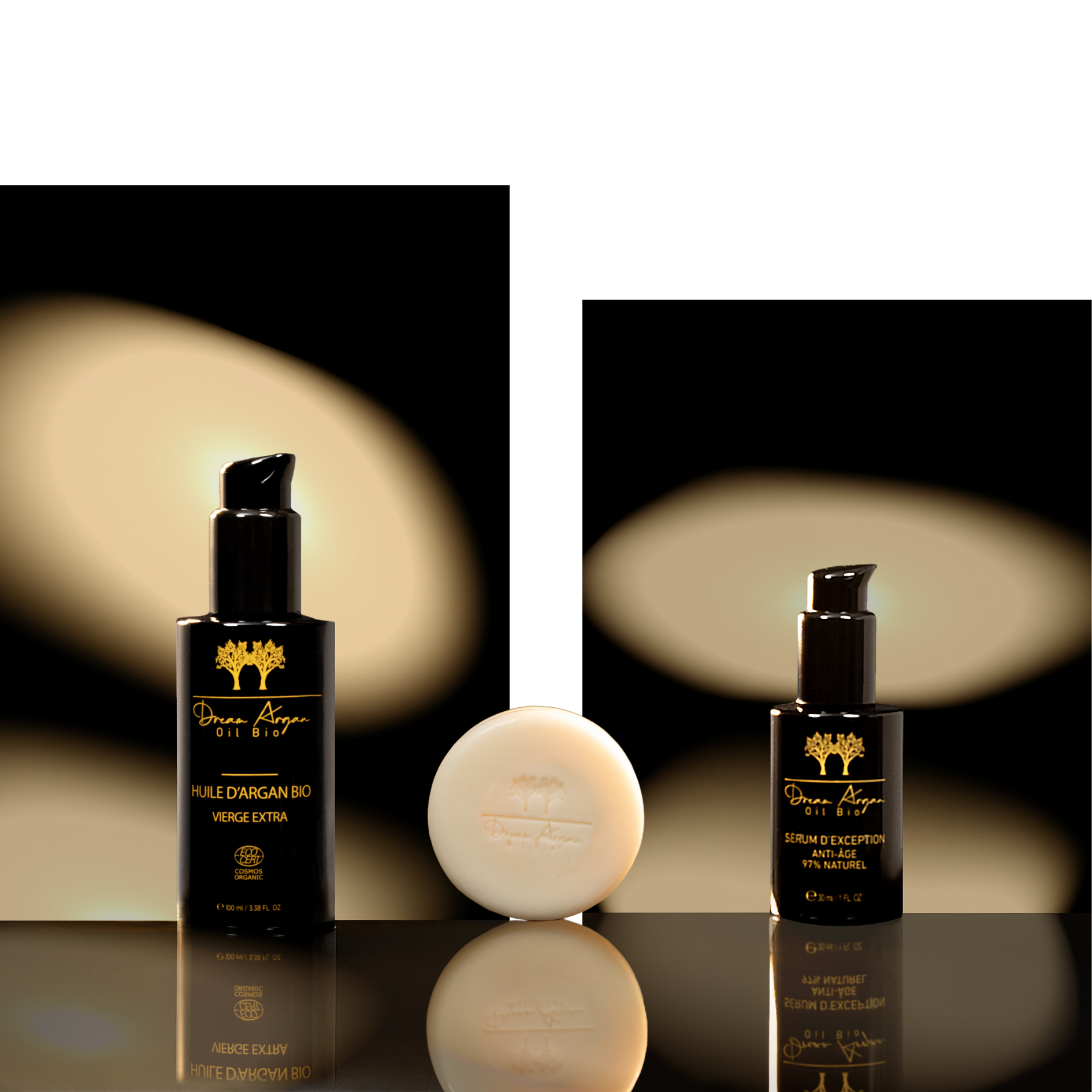 huile argan vierge