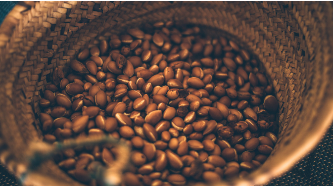 huile d'argan vierge